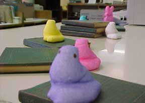 photo of Peeps at circulation desk