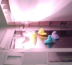 photo of Peeps using the photocopier