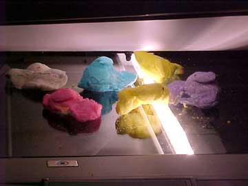 photo of Peeps having photocopier accident