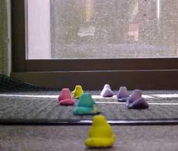 photo of Peeps exiting the library