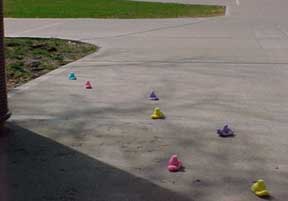 photo of Peeps exiting the library