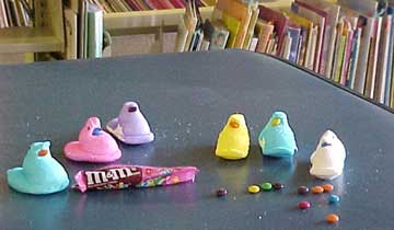 photo of Peeps eating M&Ms