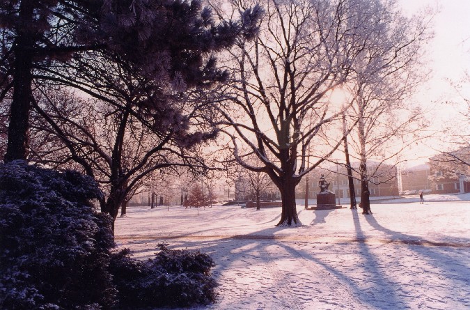 Winter Image of rear of statue