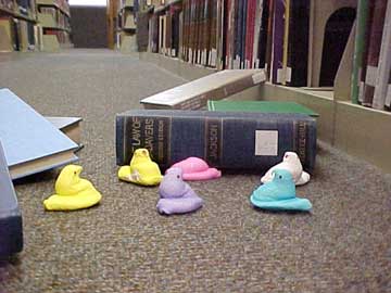 photo of Peeps having difficulty reshelving books
