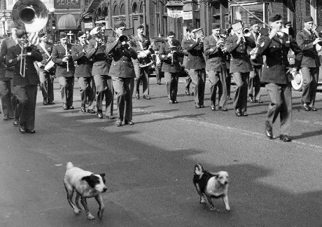 Cadet parade