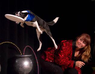 Cirque Du Canines