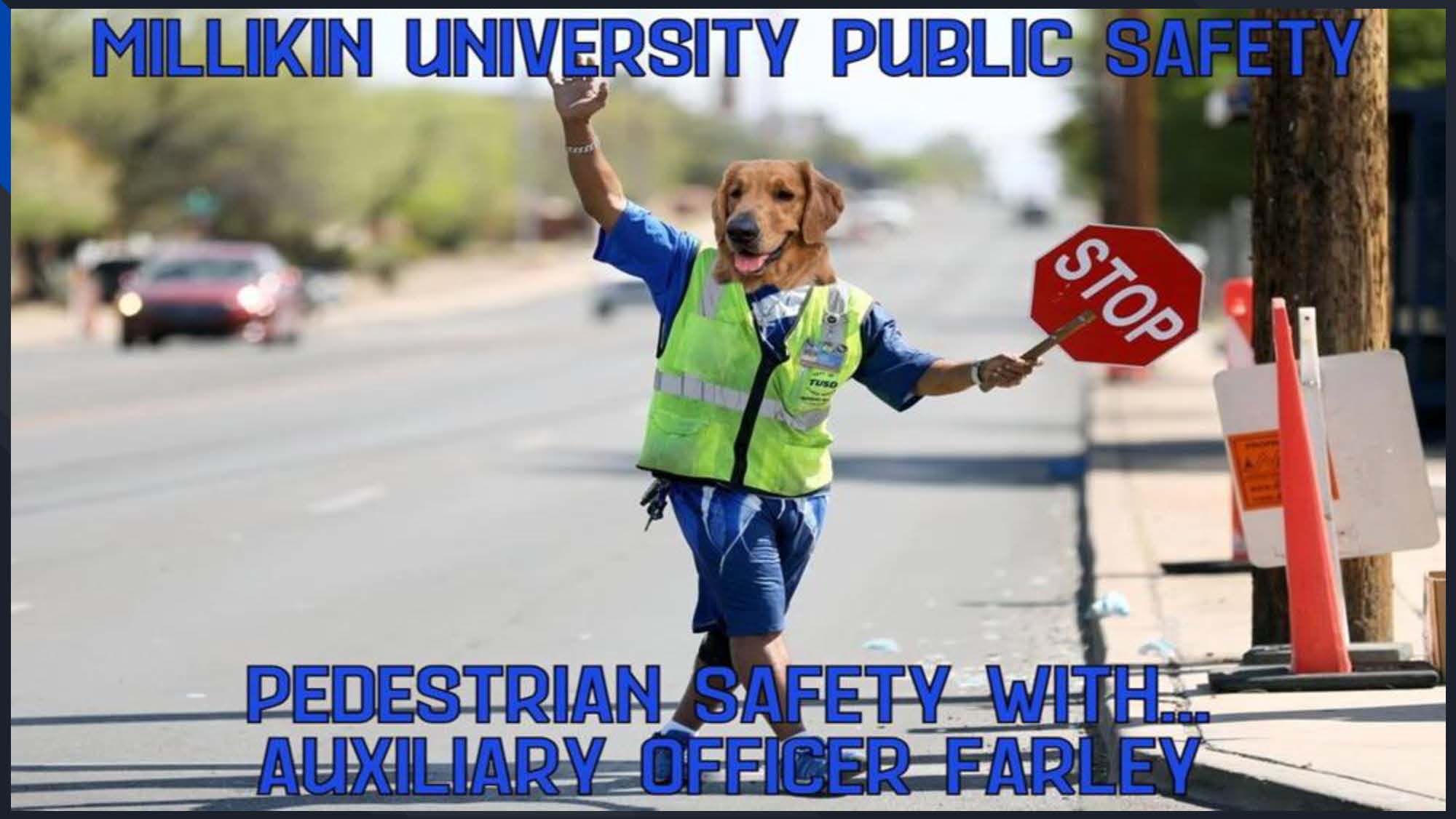 Pedestrian Safety Information