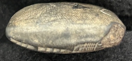 Cuneiform tablet 4, side E