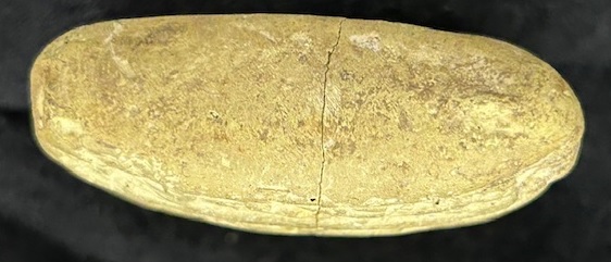 Cuneiform tablet 8, side F
