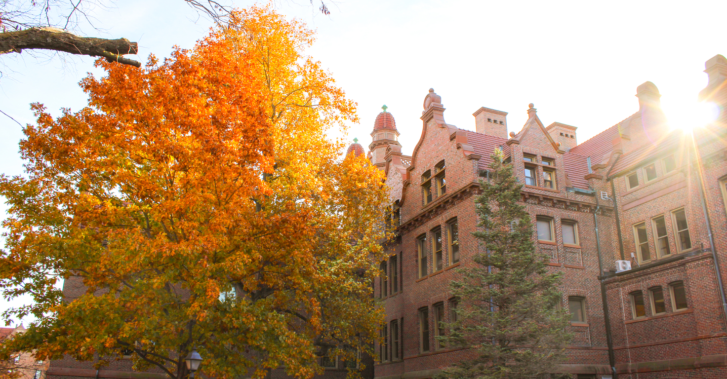 Fall at Millikin