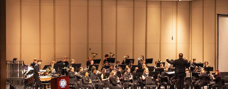 Music conductor in front of orchestra