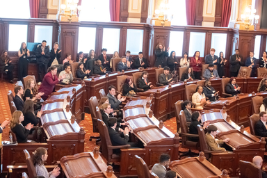 Model Illinois Goverrnment