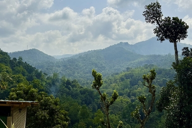 sri lanka countryside