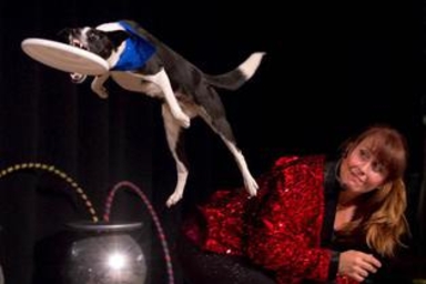 Cirque du Canines