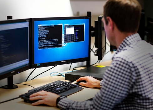 person looking at computer screen