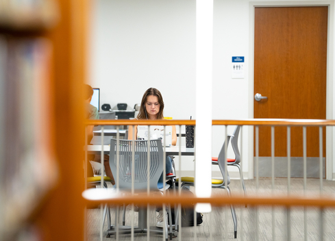 Student studying