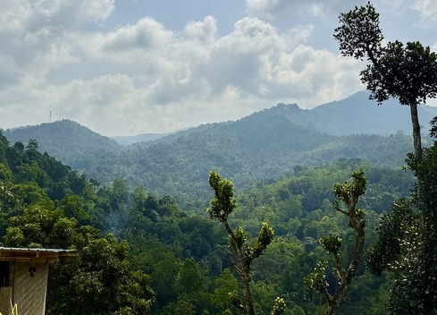 sri lanka countryside