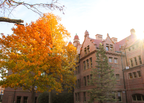 Fall at Millikin
