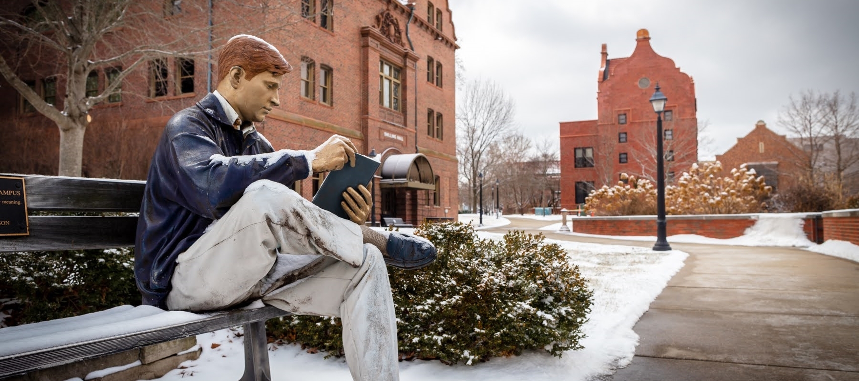 Millikin Bronze man